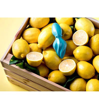 EXPRIMIDOR DE LIMON DISEÑO PULPO